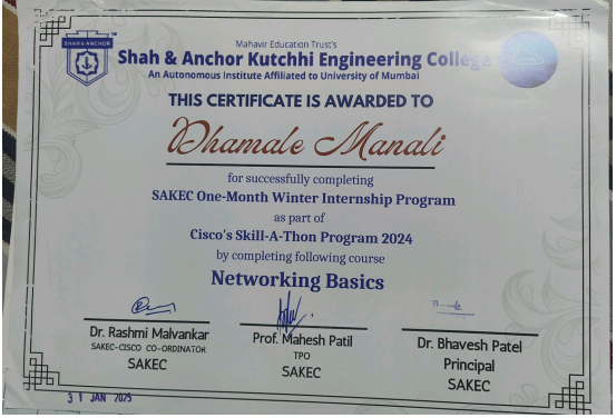 Networking Basics Internship Certificate